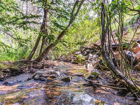 Maxwell Creek on property.
