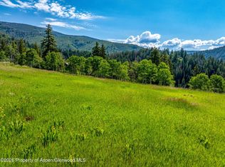 1207 McLaughlin Ln, Basalt, CO 81621