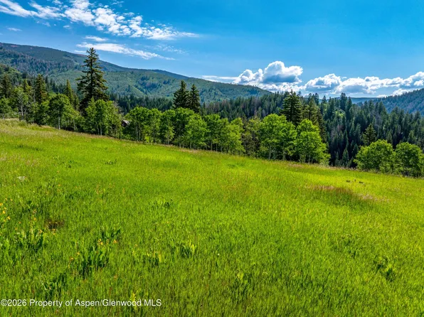 1207 McLaughlin Ln, Basalt, CO 81621