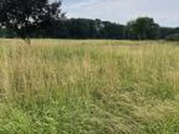 12391 96th Ave, Marcellus, MI 49067