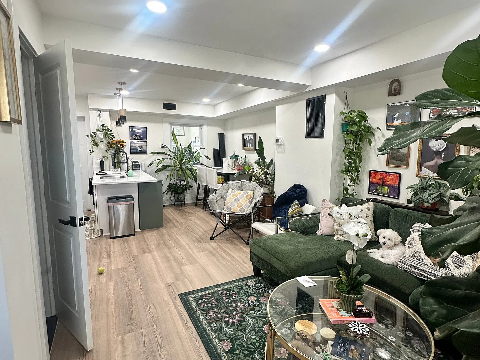 Spacious Room in Washington, DC | $1489/mo — Photo 2