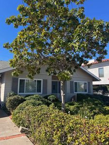 7320 Eads Ave, La Jolla, CA, 92037