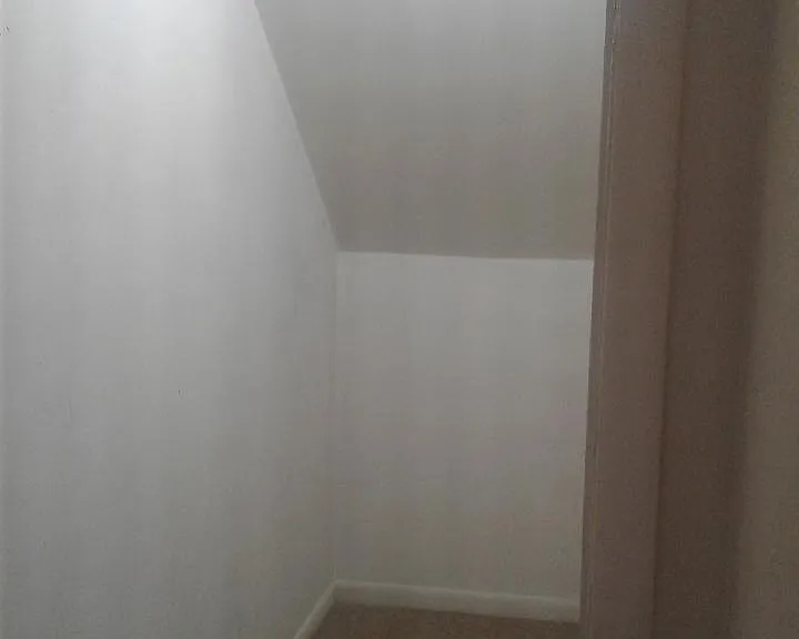 458 Maple St #5 — Photo 7