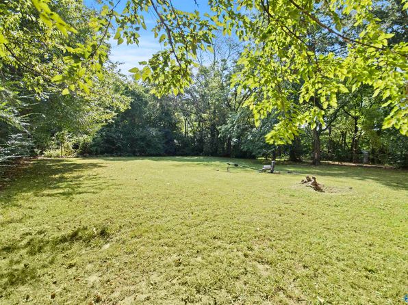 huntsville-alabama-92085193 picture