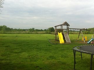 Partial view of the backyard
