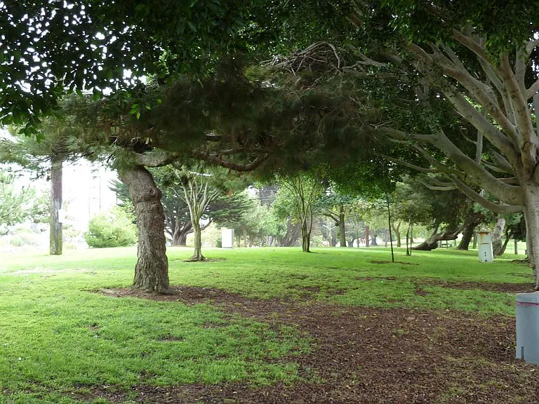 Park 1