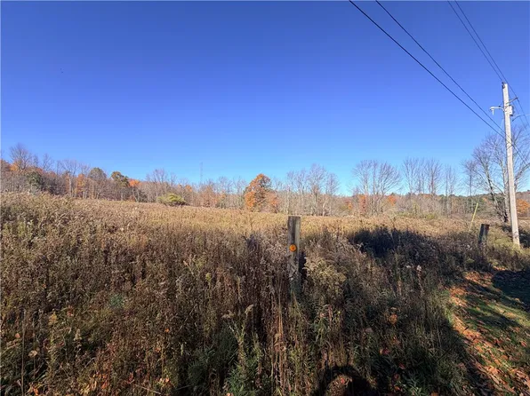 0 Parker Schoolhouse Road Ext, Davenport, NY 13750