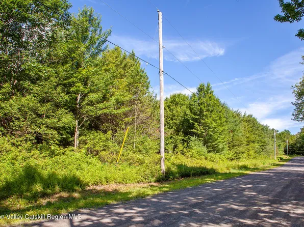 L-16.2 Donlan Heights Road, Middleburgh, NY 12122