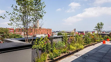 Rented by Nooklyn NYC LLC