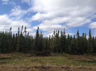 LOT 3 Block 22 Johnson Way, Healy, AK 99743