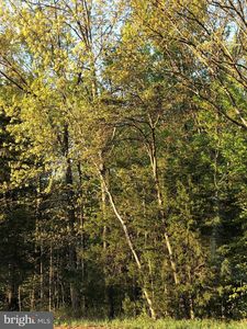 12038 Nokesville Rd, Bristow, VA, 20136