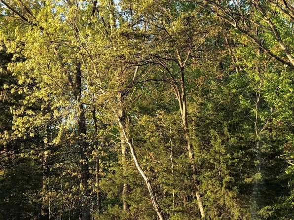 12038 Nokesville Rd, Bristow, VA 20136