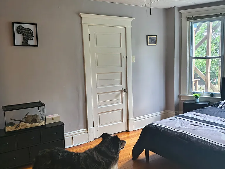 4320 Saline St #1 — Photo 19