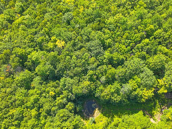 5th image of 71 Sara's Trail