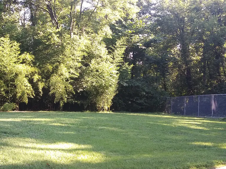 646 Greenwood Dr — Photo 8