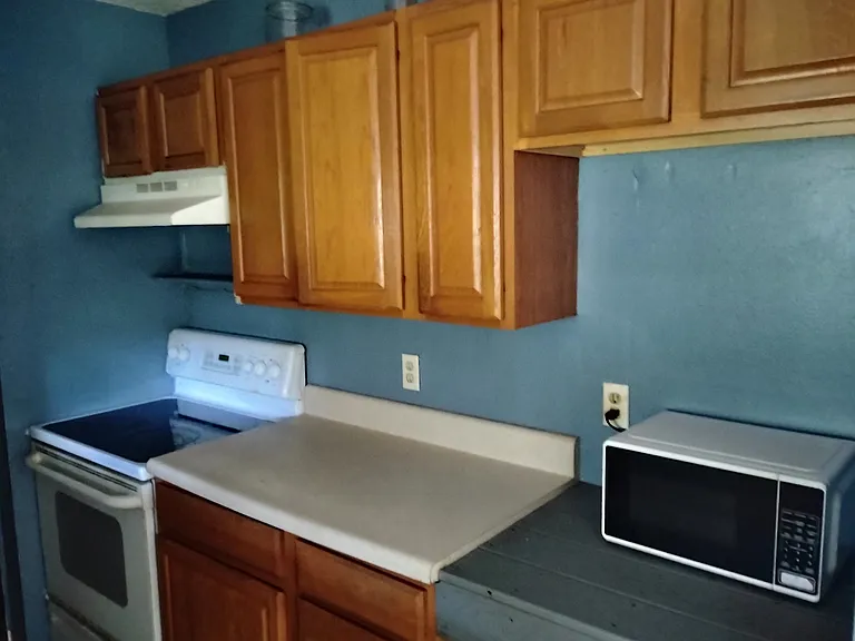 1533 Emerson Dr SE #1 — Photo 3