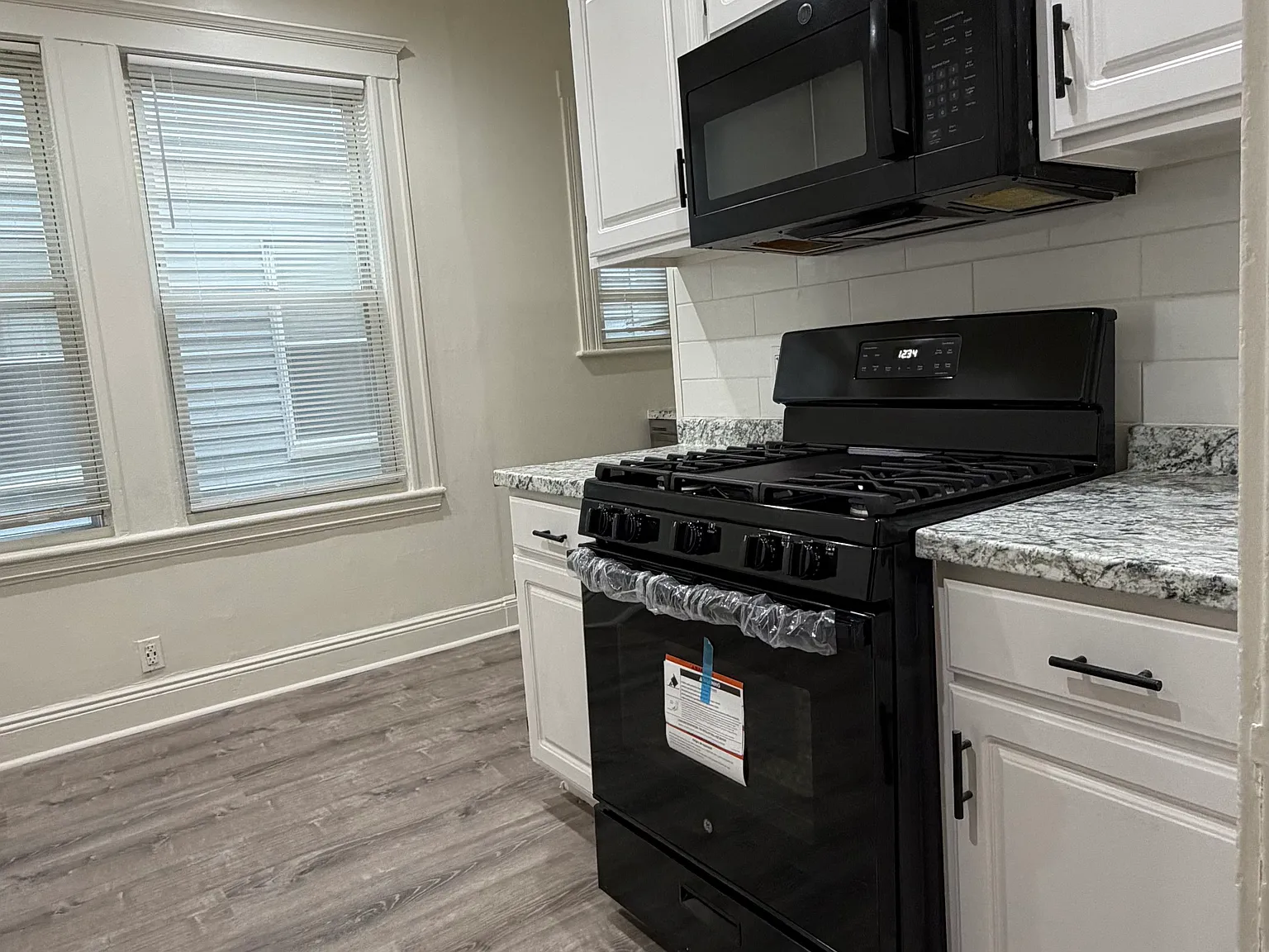 1 bed, 1000 sqft, $1,500 — Photo 4