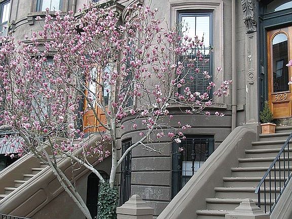 View of building from outside