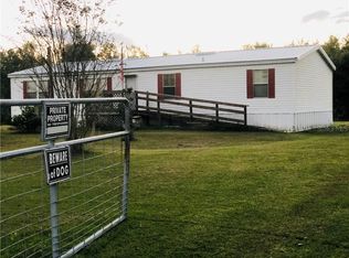 10744 Pathfinder Trl, Lakeland, FL 33809