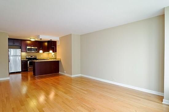3rd image of 155 N Harbor Dr APT 706