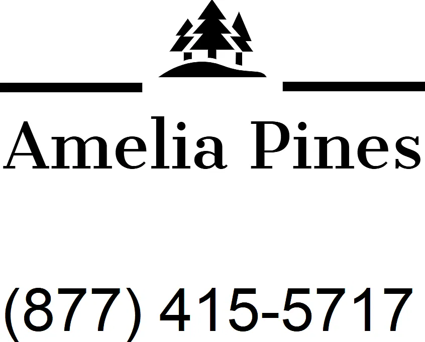 Amelia Pines — Photo 2