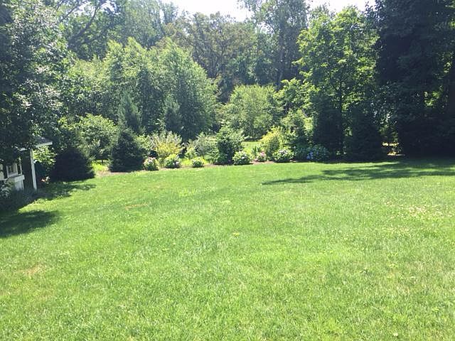 View of back yard