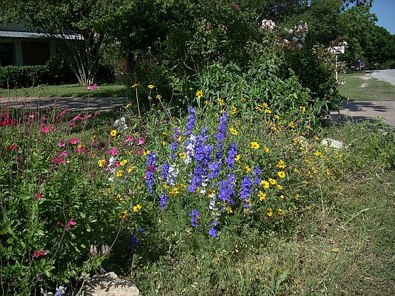 Street view w/flower border