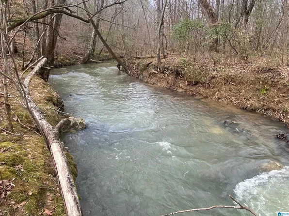 0 Sweatt Rd Tract C, Ashville, AL 35953