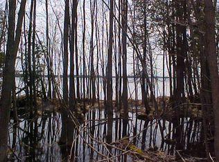 Lot 1 Dreffs Rd., MCMILLAN, MH 49853