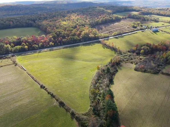 0 Parrott Rd, Cayuta, NY 14824