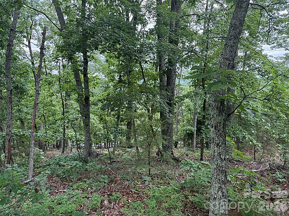 3rd image of 0 Arbra Mountain Way #54