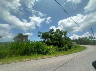 Carr 4403 Barrio Naranjo, Moca, PR 00676