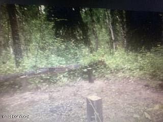 2nd image of B3 L33 34 Rd