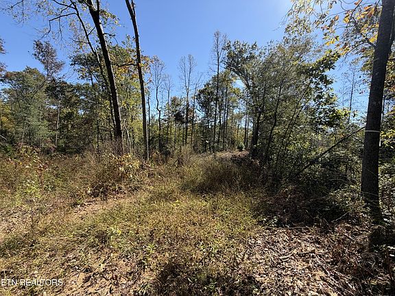 4th image of 2697 Mount Helen Rd