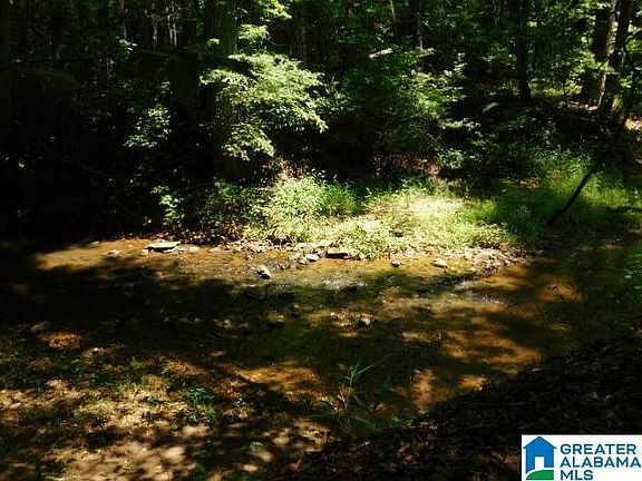 4th image of 4.43 Acres Hwy #48