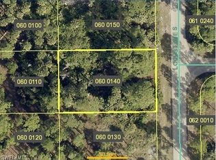 618 Locust Ave S, Lehigh Acres, FL 33974