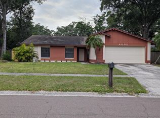 4005 Paddlewheel Dr #4005, Brandon, FL 33511