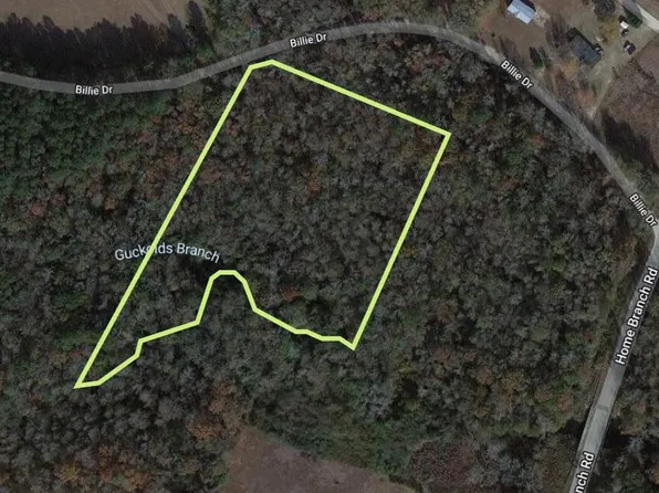 TRACT 2A Twenty District, Manning, SC 29102