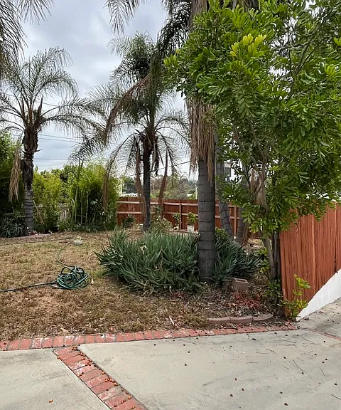 224 W Fernfield Dr #1 — Photo 13