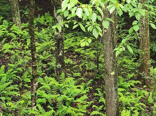 Yough View Dr #12, Oakland, MD 21550