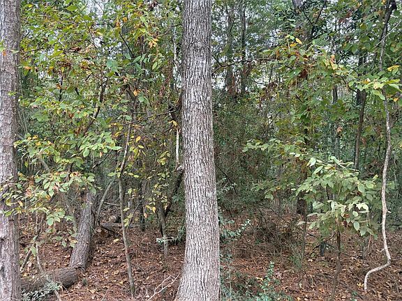 4th image of Magnolia Duke Dr