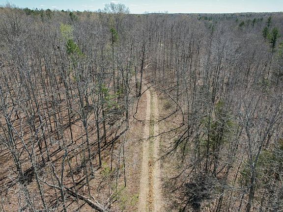 4th image of 5744 County Road 436