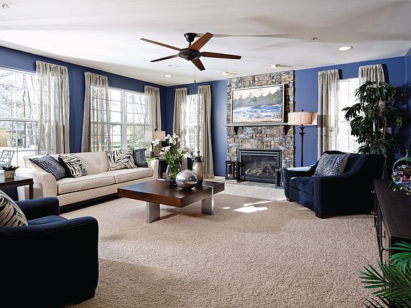 Luxurious family room