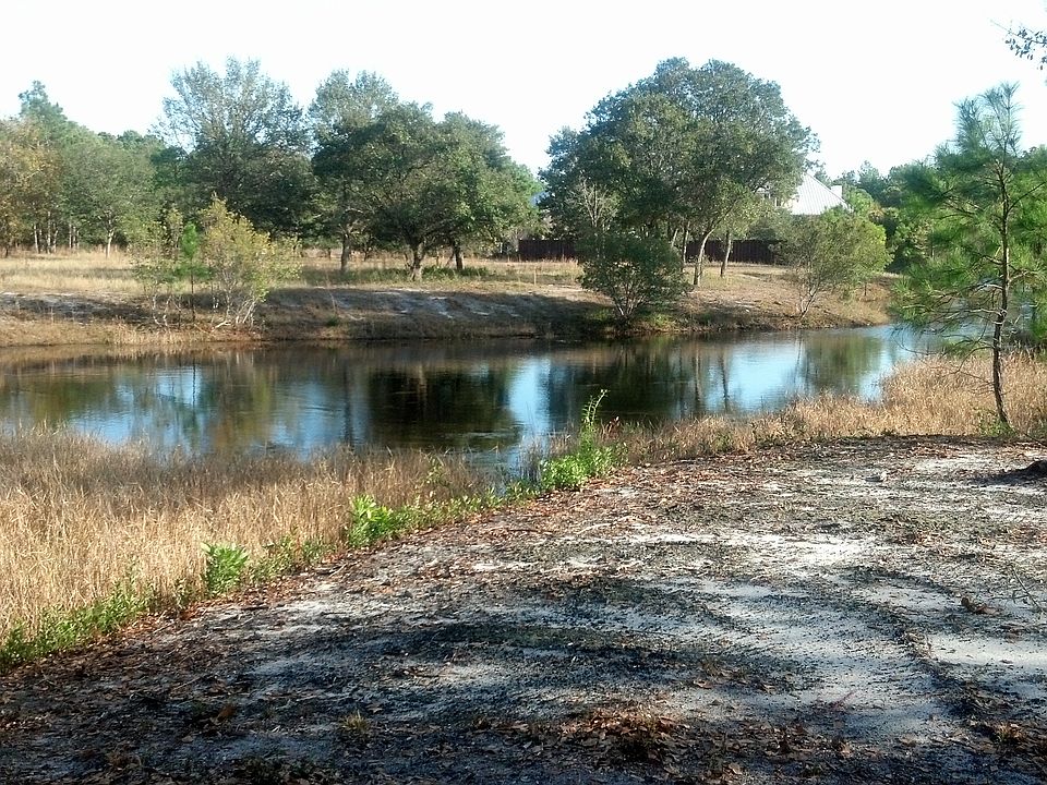 Lot View