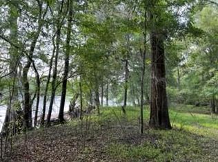 LOT 10 SW 17th St LOT 10, Bell, FL 32619