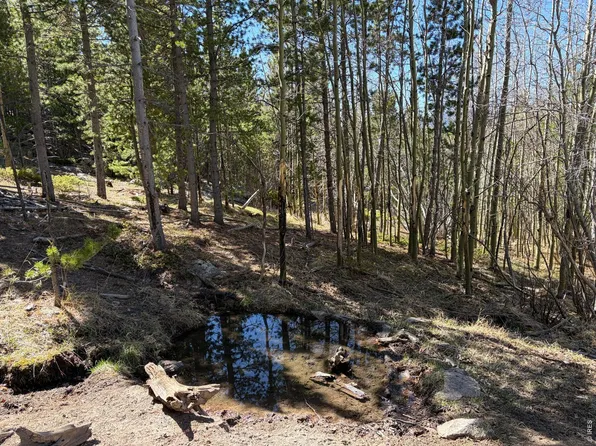 0 Bear Gulch Rd, Red Feather Lakes, CO 80545