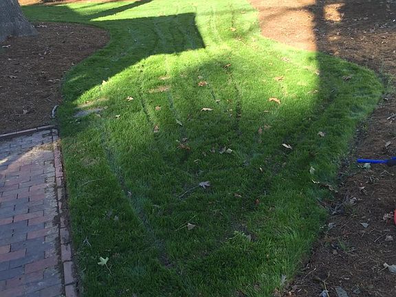 Back of house. Significant landscaping work was just complet