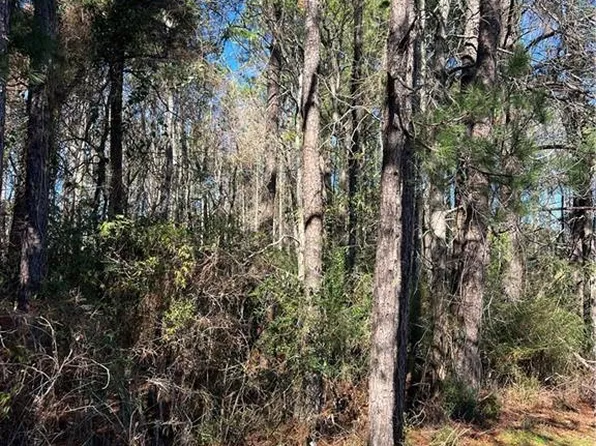 0 Lynn Dr, Ball, LA 71405