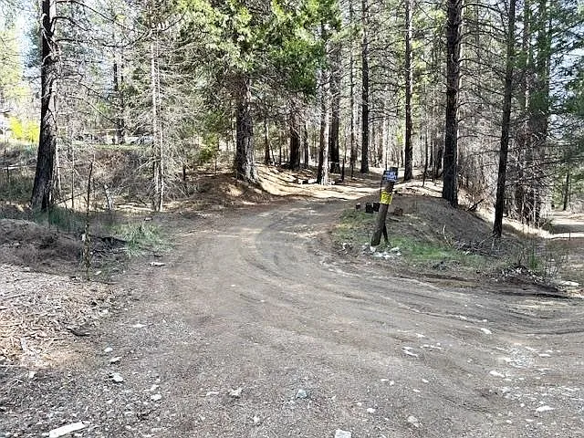 10015 Eliza Gulch Rd photo 1