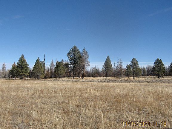 2nd image of LOT 12 N White Birch Way